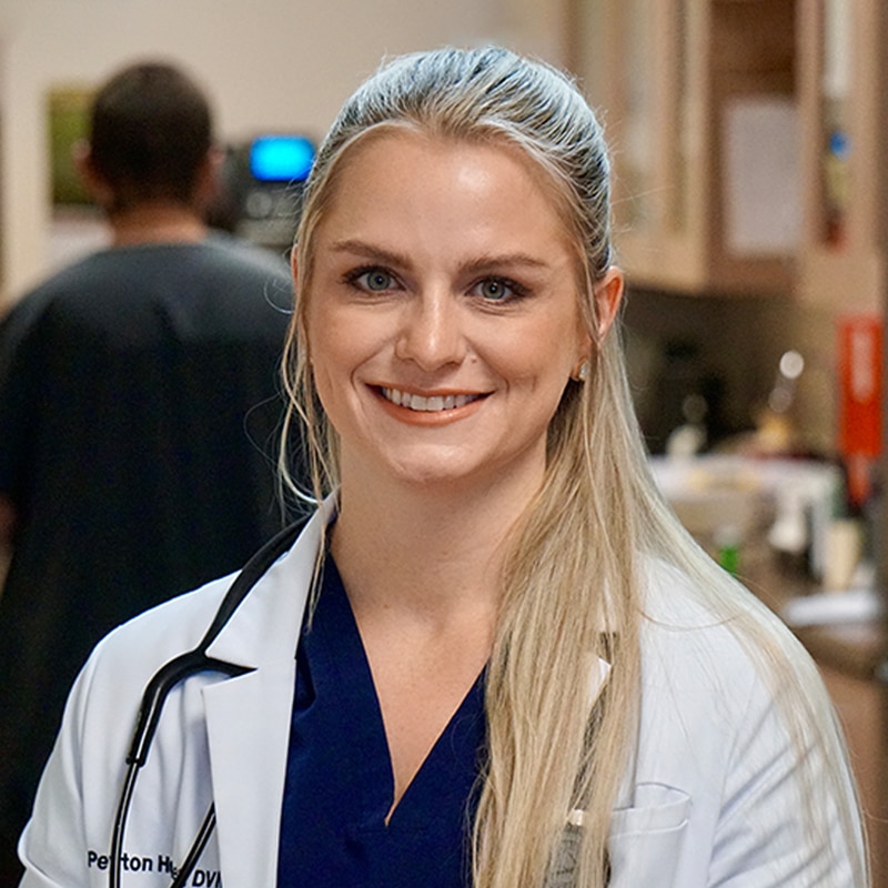 A smiling female veterinarian with long blonde hair, wearing a white coat, dark blue scrubs, and a stethoscope around her neck, stands in a medical office with a blurred background.