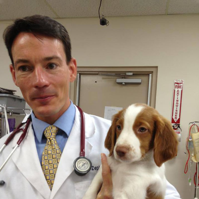 A veterinarian wearing a white coat and stethoscope holds a brown and white puppy in an exam room, showing the caring bond between vet and patient.